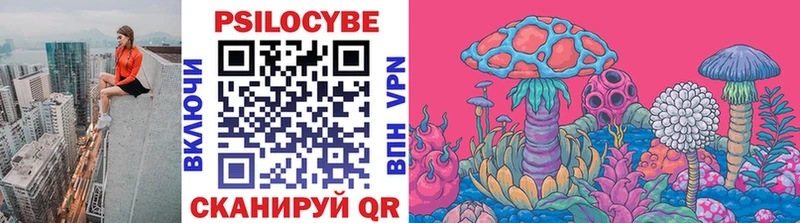 Галлюциногенные грибы Psilocybe  Соль-Илецк 