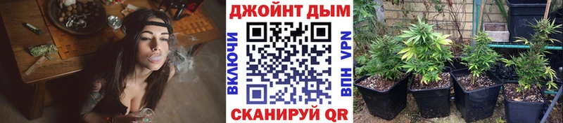 Шишки марихуана AK-47 где купить наркоту Соль-Илецк